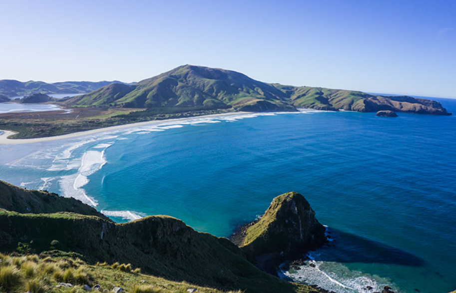 Allans Beach, , New Zealand